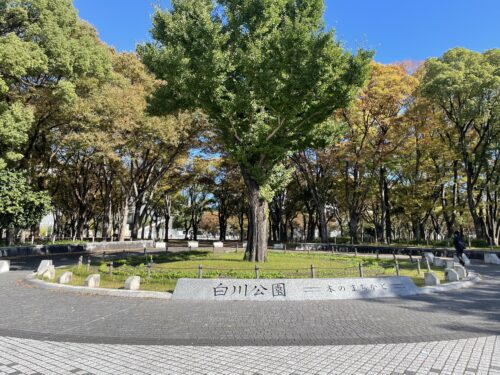 周辺:公園/白川公園 周辺:公園/白川公園